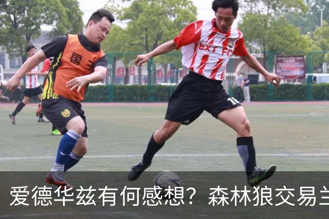 爱德华兹有何感想？森林狼交易兰德尔断臂求生 只为续约道苏姆？
